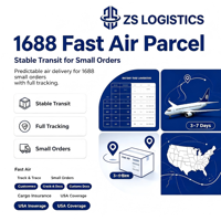 Alibaba : Expédition rapide et économique par avion + express, colis DDP pour l'Amérique du Nord et l'Europe, petites commandes, transit stable, suivi complet ZS