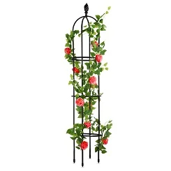 4 Sizes Metal Plant <b>Trellis</b> for Climbing Plants - Durable PE Coated Rust-Proof Garden Support, Tool-Free Assembly <b>Flower</b> Stand - Product Image 1