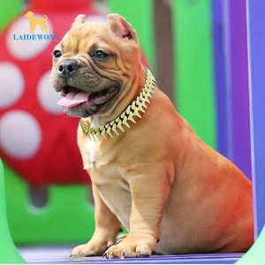 <span class=keywords><strong>ปลอกคอ</strong></span>สัตว์เลี้ยงแบบ Cuban Link ขนาด 20 มม. ประดับ<span class=keywords><strong>หนาม</strong></span>แหลมสีทอง พร้อมหัวเข็มขัดแบบ Jewelry Grade สำหรับสุนัขและแมว - Product Image 2