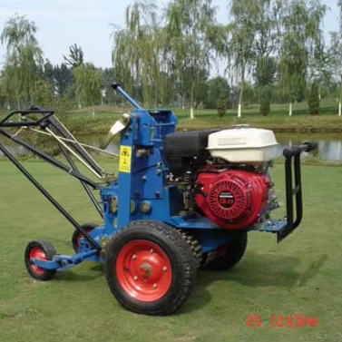 Hand Push Grass Brush Cutter Gasoline