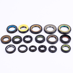 Paraolio MaiHua sigillo meccanico vari Standard paraolio TC 10*22*6 62*85*8 resistenza olio Resident ad alta temperatura - Product Image 3