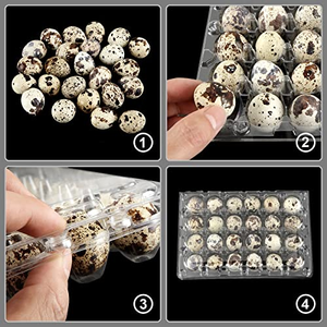 Barquette à œufs de caille en plastique PET transparente à 18, 24, 30 alvéoles, boîte à œufs jetable à 6, 12, 20 cellules, barquette d'emballage pour œufs de caille - Product Image 3