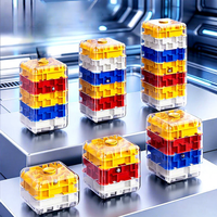 Labyrinthe magnétique rotatif 3D pour cube – Jouet éducatif en plastique pour l'entraînement cérébral et la réduction du stress des enfants