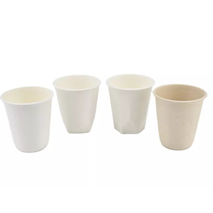 Vaso Desechable Biodegradable <span class=keywords><strong>de</strong></span> Bagazo <span class=keywords><strong>de</strong></span> <span class=keywords><strong>Caña</strong></span> <span class=keywords><strong>de</strong></span> Azúcar <span class=keywords><strong>de</strong></span> 8 oz, Sin Recubrimiento, para Bebidas Calientes, Diseño Floral, <span class=keywords><strong>Blanco</strong></span>/Natural - Product Image 1