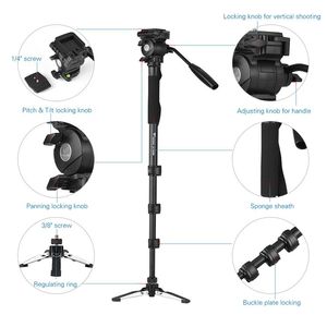 Trépied <span class=keywords><strong>monopode</strong></span> portable professionnel Weifeng WF-3978M pour la photographie et le tournage vidéo en extérieur - Product Image 4