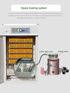 Nueva Incubadora de Huevos de Plástico Totalmente Automática de Tamaño Pequeño para 1056 Huevos de Ganso, Avestruz, Pato, Pavo, Codorniz, Pollo y Reptiles, con una Tasa de Incubación del 98% - Product Image 4