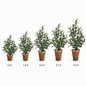 <span class=keywords><strong>Olivier</strong></span> artificiel réaliste <span class=keywords><strong>en</strong></span> <span class=keywords><strong>pot</strong></span> avec fruits, plante d'<span class=keywords><strong>olivier</strong></span> artificielle pour décoration intérieure de villa et d'hôtel - Product Image 5