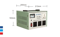AVR 220V/110V 500VA 1000VA servomoteur de bureau monophasé régulateurs de tension automatiques stabilisateurs