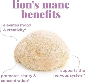 Gotas de mezcla OEM Extracto de Melena De León orgánico Gota de melena de León - Product Image 3