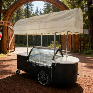 Chariot commercial portable 2025, vitrine réfrigérée pour crème glacée de supermarché, en vente - Product Image 4