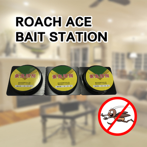 Disposable Cockroach Killing Bait Station Odorless Household <strong>Insecticide</strong> - Product Image 4