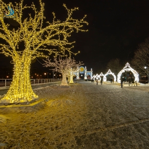 Nieuwjaarsdag Buiten Feestelijke Lantaarn Decoratie LED Boogverlichting - Product Image 6