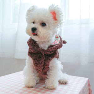 Sonbahar/kış yeni gelenler için <span class=keywords><strong>Pet</strong></span> giysi, köpekler ve kediler için çiçek baskı tavşan pamuk ceket, sıcak pamuk ceket koleksiyonu - Product Image 2