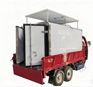 Véhicule à trois roues à essence de <span class=keywords><strong>grande</strong></span> capacité avec boîte de refroidissement Panneau solaire congélateur solaire avec panneau et batterie - Product Image 6