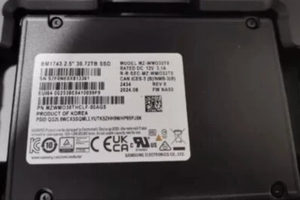 サーバーSSDサムスンBM1743 30.72テラバイトSSD 2.5 "U.2 PCIe4.0 MZ-WMO30T0 MZWMO30THCLF-00AG5ストレージ - Product Image 2