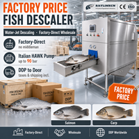 Precio de Fábrica Mayoreo Descamadora de Pescado Automática Chorro de Agua Alta Presión Acero Inoxidable 304 Salmón Mojarra