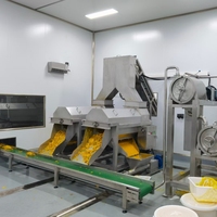 Fabrieksleverancier Sinaasappelsap Maken Machine Vruchtensap Complete Productielijn Prijs