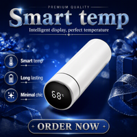 Bouteille d'eau intelligente avec affichage de la température LED, en acier inoxydable sous vide, promotion, étanche, avec infuseur à thé, accessoires, boîte blanche