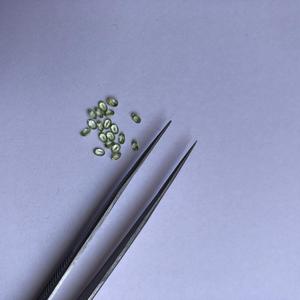 Piedra de Peridoto Verde Natural de 2x3 mm, Corte Ovalado Facetado, Gema Suelta Certificada por IGI, India, para Joyería - Product Image 1