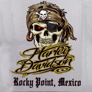 Hot bán mới tùy chỉnh sistershood 3D Puff in chuyển Vinyl Plastisol truyền nhiệt Màn hình in truyền nhiệt cho T-Shirt - Product Image 5