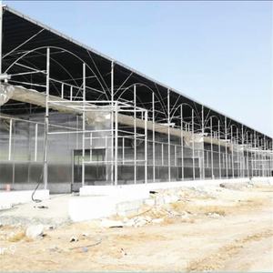 Gewächshaus struktur mit Fisch-und Gemüseanbau system - Product Image 3