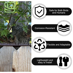 Diferentes tamaños Anti Bird Spikes Control de plagas Trampas para pájaros Picos de <span class=keywords><strong>palomas</strong></span> de plástico con más espinas largas para suministros de jardín al aire libre - Product Image 4