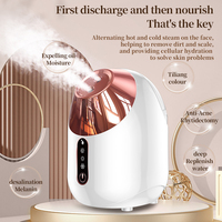 Vaporizador Facial Eléctrico 2 en 1 con Nano Iones, Vapor Frío/Caliente, Portátil, para Spa en Casa, Hidratación Facial Profunda