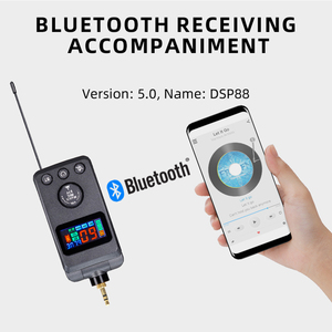 Sistema de Micrófono Inalámbrico de Doble Canal con Bluetooth y DSP Anti-Regollos para Actuaciones Profesionales en Escenario - Product Image 5