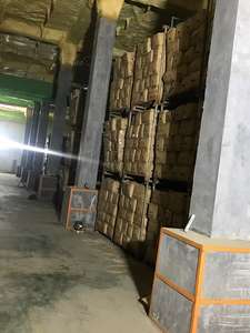 Zenzero Fresco - Piccante, Non-OGM da Fornitori Cinesi Affidabili Zenzero Fresco - Product Image 4