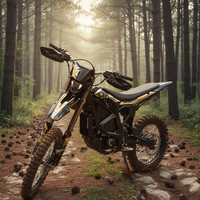 Hochgeschwindigkeits-Abenteuer-Elektro-Offroad-Bike Surron Ultra Bee für Erweiterte Geländereichweite