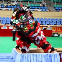 Costume de lion Guanyu authentique de haute qualité, traditionnel chinois, danse du lion, art coloré, nouvel an, adulte, dragon en laine peluche, performance