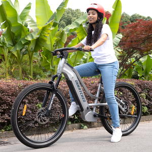 Vélo Électrique à Transmission Arrière avec Batterie Dissimulée 48V – E-Bike Adulte de Route Personnalisé de Haute Qualité – Transmission Arrière Dissimulée Inégalée - Product Image 5