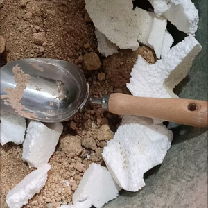 ชุดตัก<span class=keywords><strong>ดิน</strong></span>แบบหล<span class=keywords><strong>ว</strong></span>มสำหรับปลูกในส<span class=keywords><strong>ว</strong></span>นพ<span class=keywords><strong>ลั</strong></span>่วมือพร้อมด้ามไม้เกรียงทำส<span class=keywords><strong>ว</strong></span>น - Product Image 6