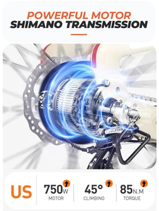 Gran oferta 2025, <span class=keywords><strong>bicicleta</strong></span> eléctrica de fibra de carbono de 750W con dos bicicletas eléctricas de ciudad con batería de litio extraíble para adultos - Product Image 5