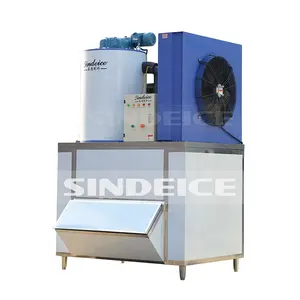 SINDEICE Fábrica Top Vendas 2T Máquina De Gelo Do Floco De Aço Inoxidável 304 Máquina De Gelo Fabricante De Gelo Equipamentos De Pesca De Carbono