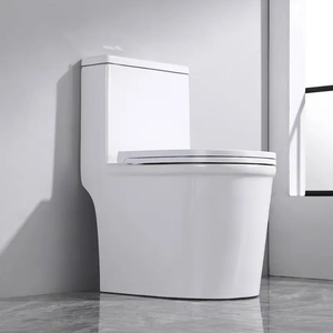 Recién llegado, artículos sanitarios <span class=keywords><strong>de</strong></span> baño <span class=keywords><strong>de</strong></span> alta temperatura, sifón <span class=keywords><strong>de</strong></span> cerámica, tamaño pequeño, cubierta <span class=keywords><strong>de</strong></span> asiento silencioso <span class=keywords><strong>de</strong></span> doble descarga, inodoro <span class=keywords><strong>de</strong></span> una pieza - Product Image 2