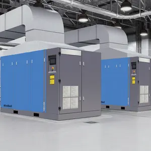 Compressore multifunzione ad alta pressione diretto a due stadi da 75Kw 100Hp compressore d'aria a due stadi