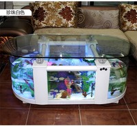 Aquarium en acrylique transparent au design innovant pour la maison