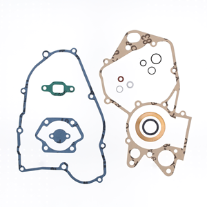 Kit completo de juntas (juntas de aceite no incluidas) - Product Image 1