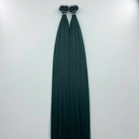 Extensions de cheveux D.S Hair 16-28 pouces, nano-rings, 100g, cheveux humains véritables, légères et confortables pour un usage quotidien