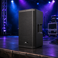 Haut-parleur professionnel actif en plastique Kelvibe-151DSP de 15 pouces avec amplificateur de classe D, Bluetooth, pour scène, église, discothèque, mariage, événement en direct