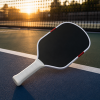 Raquette de pickleball T700 en fibre de carbone, texture tissée, EPP givré pressé à chaud, noyau de 5e génération GEN5