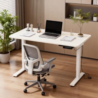 Bureau debout électrique de luxe, design ergonomique moderne, durable, hauteur réglable automatiquement, pour la maison et le bureau