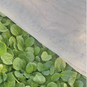 Lámina Protectora <span class=keywords><strong>de</strong></span> Plástico y Malla Antiinsectos para Invernadero, Malla Protectora para Árboles Frutales - Product Image 5