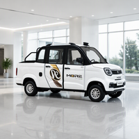 Mini camionnette électrique utilitaire pour le transport de marchandises, idéale pour la logistique d'usine et les transport agricoles