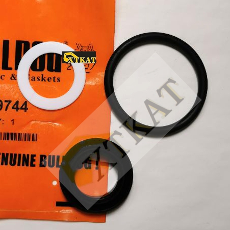 アクセサリー Exclusively for Kati ゲンセキ 4カラット K10YG ピアス | ENEY エネイ – ENEY公式