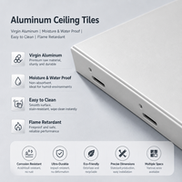 Plaques de plafond suspendu en aluminium pour la maison, panneaux de plâtre pour la décoration de restaurants, papier texturé français 600*600mm, moderne