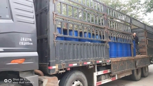 <span class=keywords><strong>Zapatillas</strong></span> <span class=keywords><strong>de</strong></span> deporte Protector Spray - Product Image 5