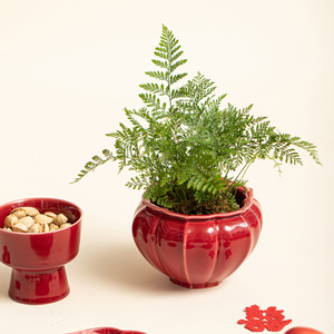 Ensemble de plateaux à fruits en céramique, porcelaine rouge, style chinois, plateau à thé et à collations pour mariage, printemps 2026 - Product Image 4
