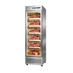 Refrigerador para el Madurado en Seco de Carne de Res |   Gabinete de Curado de Carne de Una Puerta con Control Digital de Temperatura y Enfriamiento Ventilado para Filetes - Product Image 1